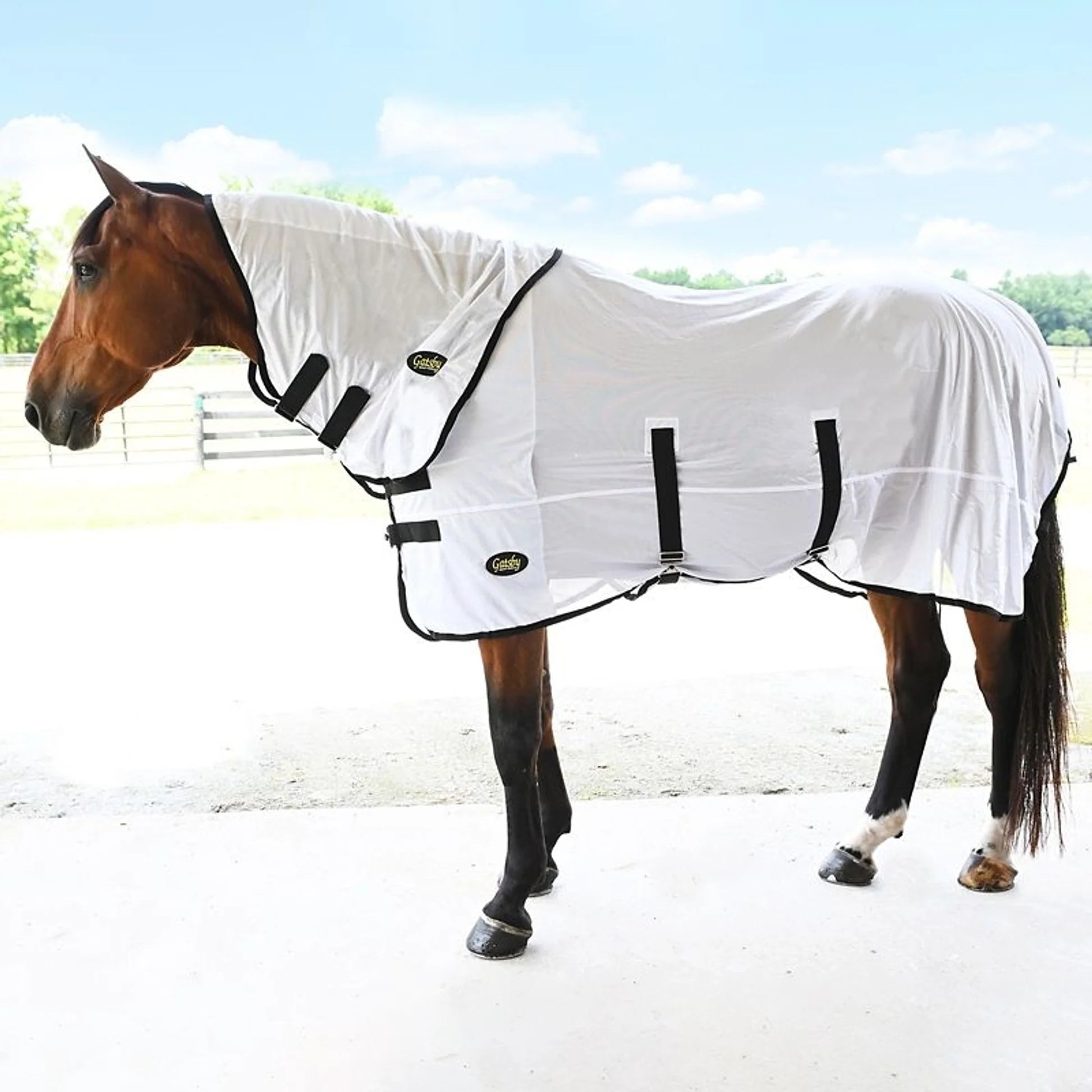 Used  Gatsby Mesh Horse Blanket | White/Black