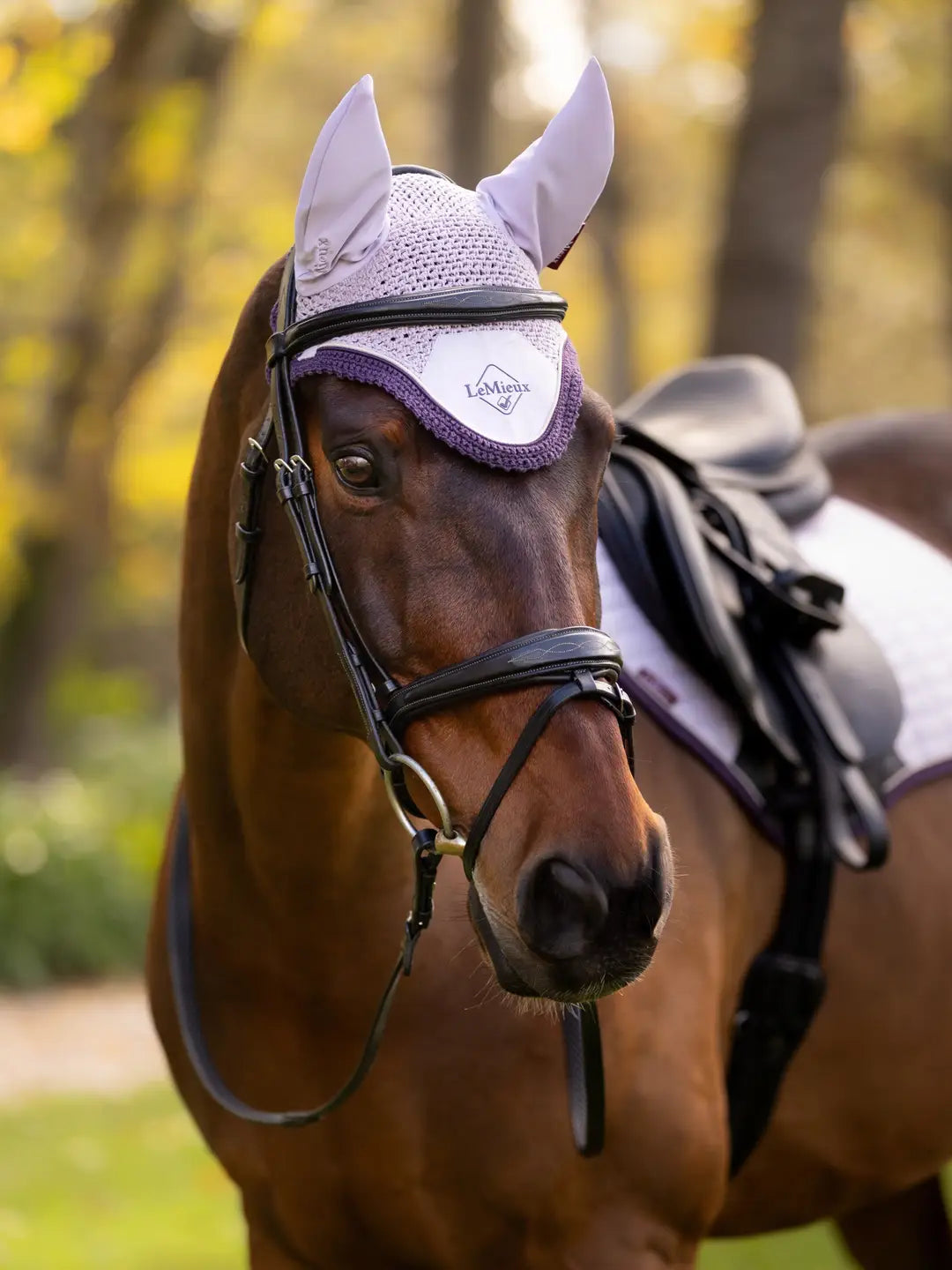 LeMieux Classic Fly Hood