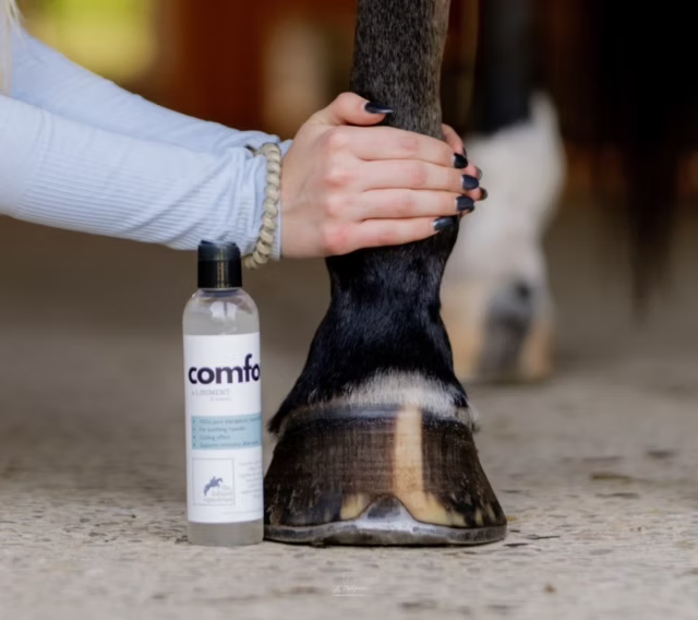 The Infused Equestrian Comfort. A Liniment - 8 oz
