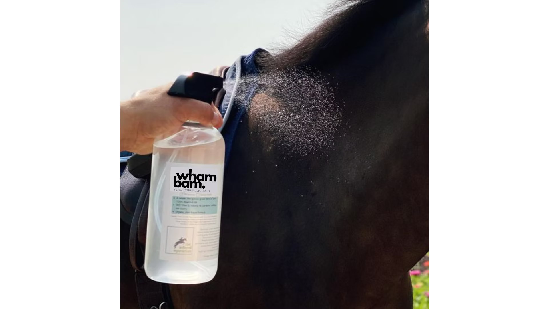 Horse Grooming Accessories | Infused Wham Bam Spray