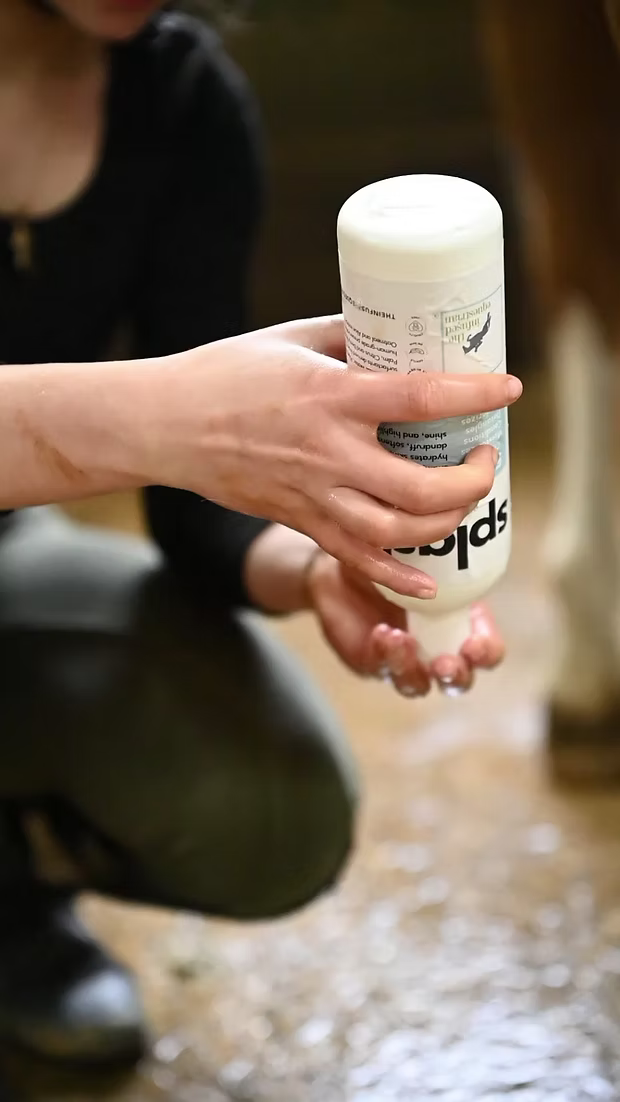 The Infused Equestrian Splash. An Intesifying Shampoo