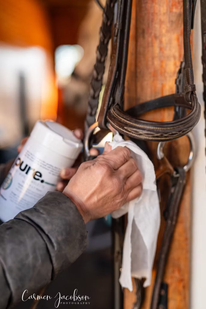 The Infused Equestrian Pure. A Bit Wipe