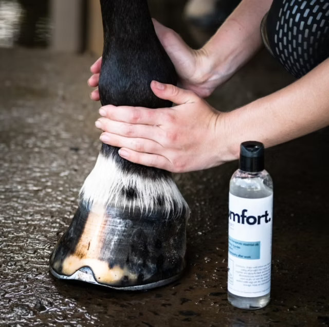 The Infused Equestrian Comfort. A Liniment - 4 oz