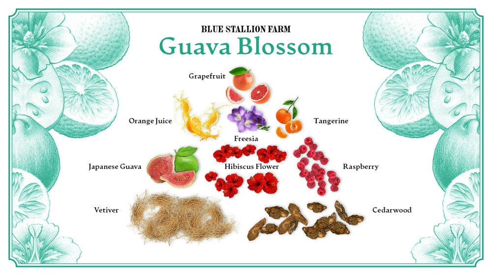 Guava Blossom Almond Milk & Acacia Honey Hand Cream 100ml