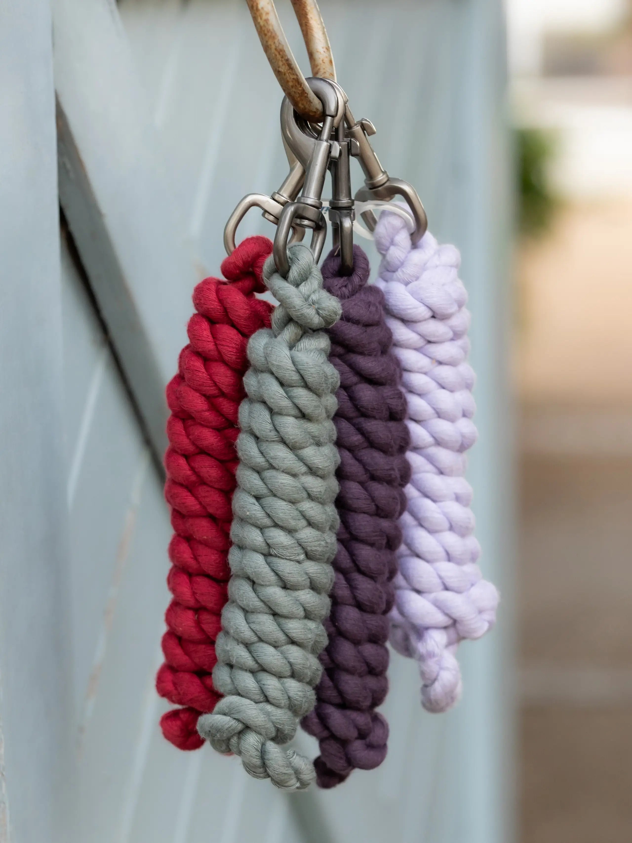 LeMieux Poly Cotton Lead Rope