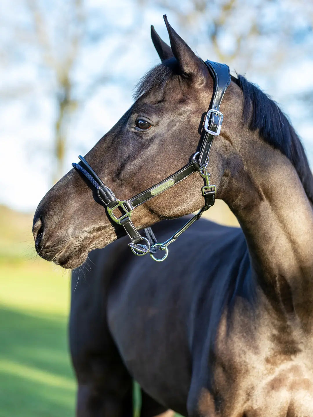 LeMieux Rope Control Headcollar Black Cob