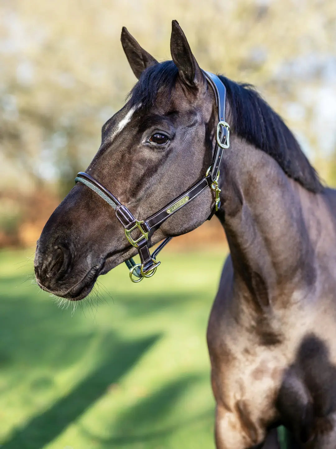 LeMieux Rope Control Headcollar Brown Cob