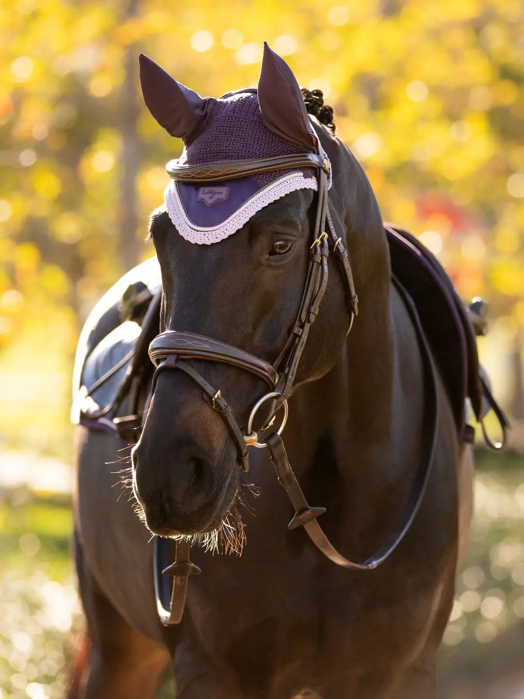 LeMieux Classic Fly Hood