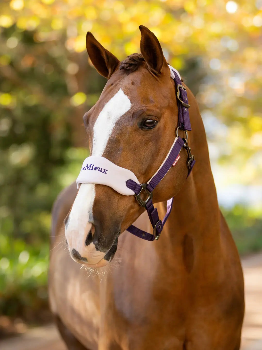 LeMieux Vogue Headcollar & Leadrope