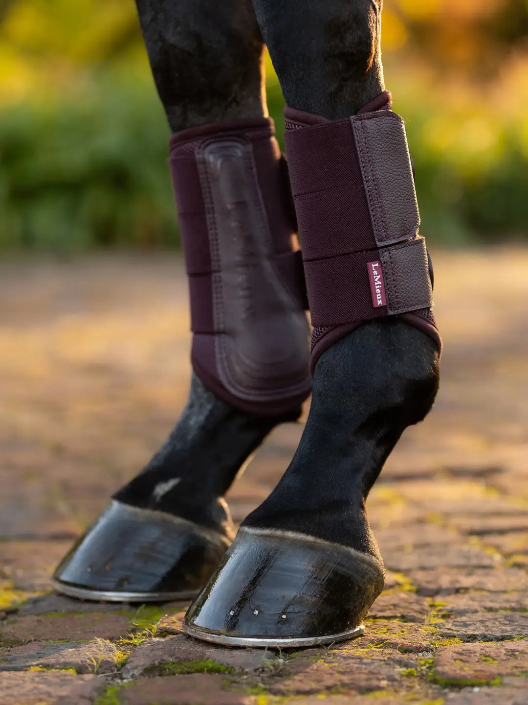 LeMieux Arika Mesh Brushing Boots