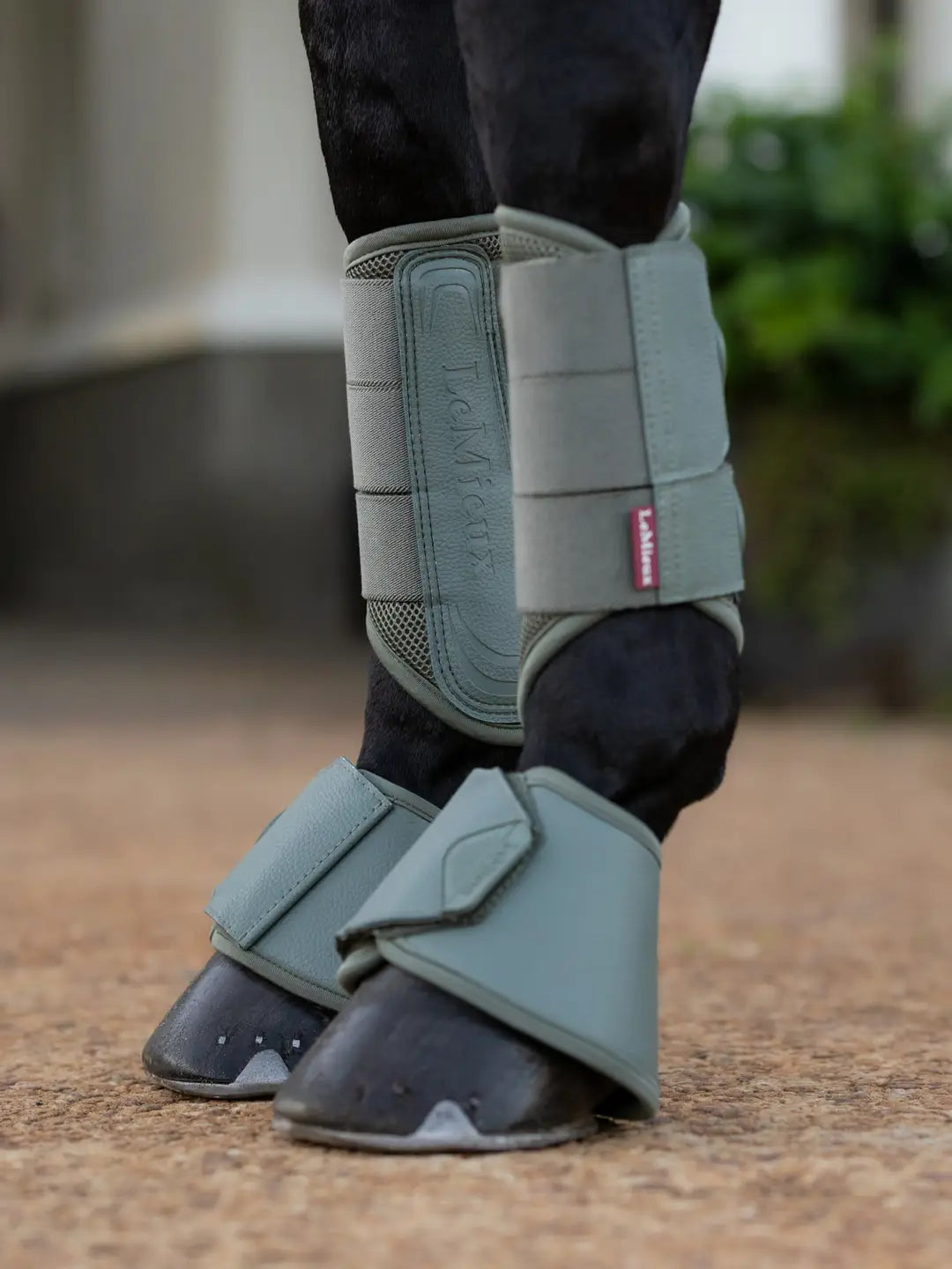 LeMieux Arika Mesh Brushing Boots