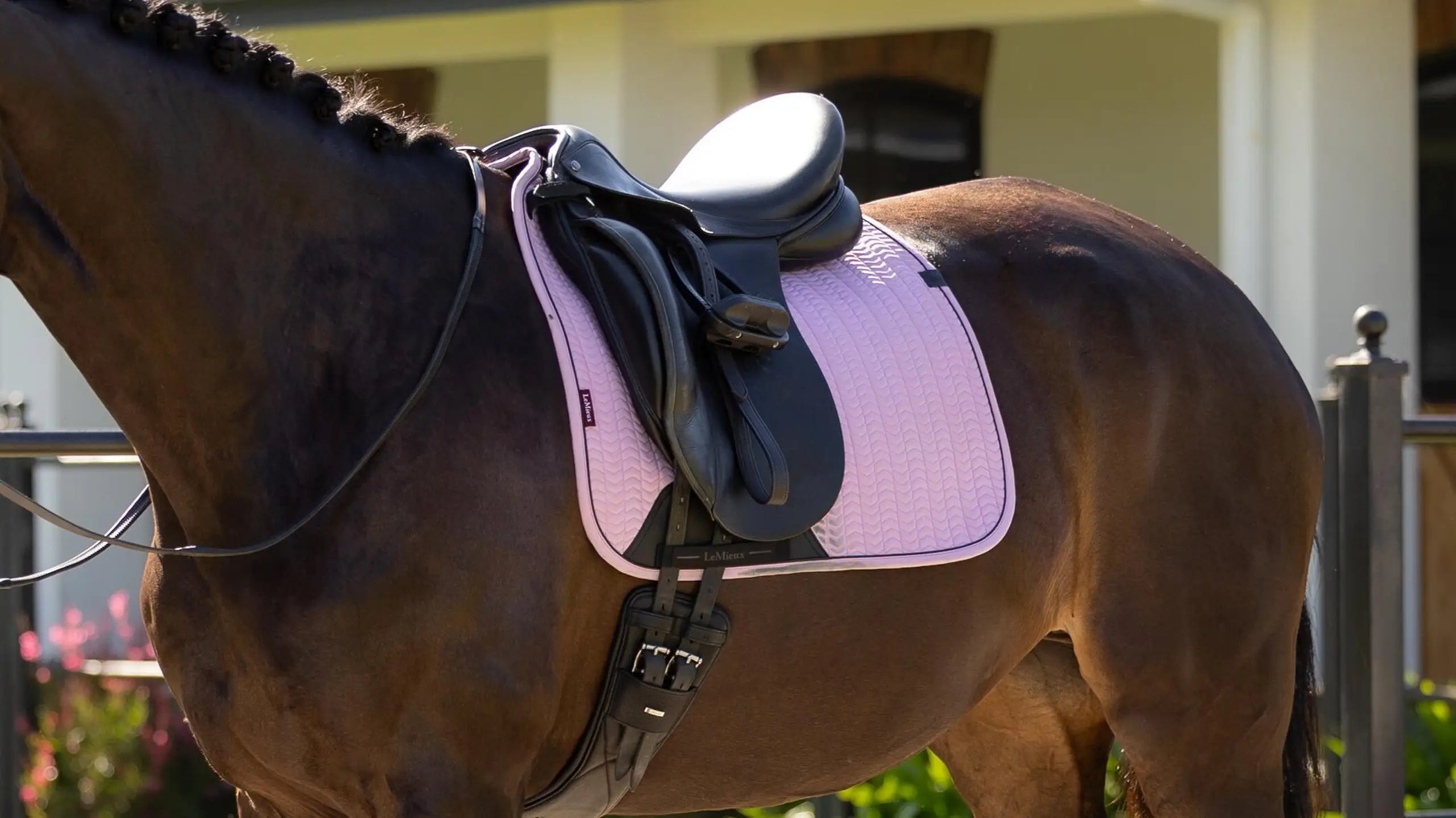 LeMieux Essence Dressage Square - Fondant