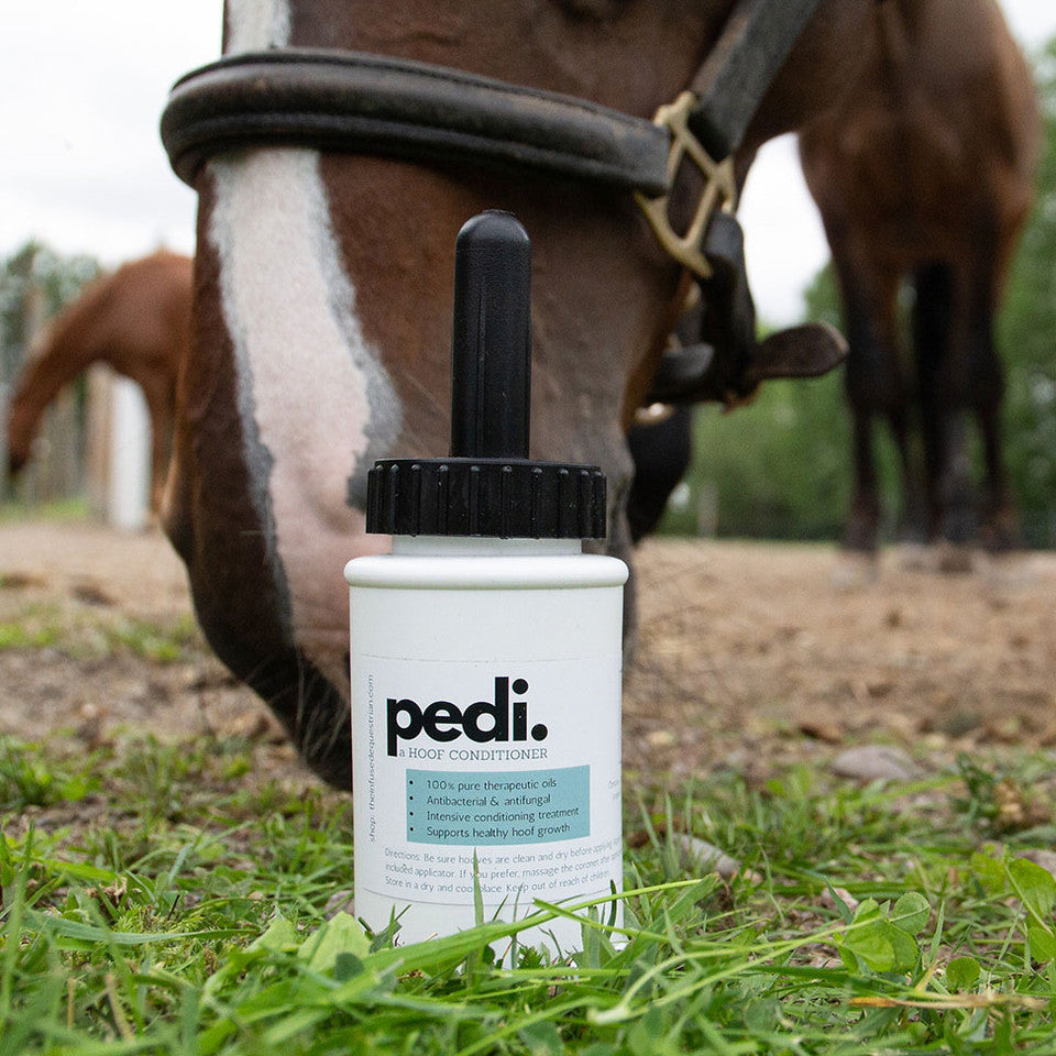 The Infused Equestrian Pedi. A Hoof Conditioner - Half Pint
