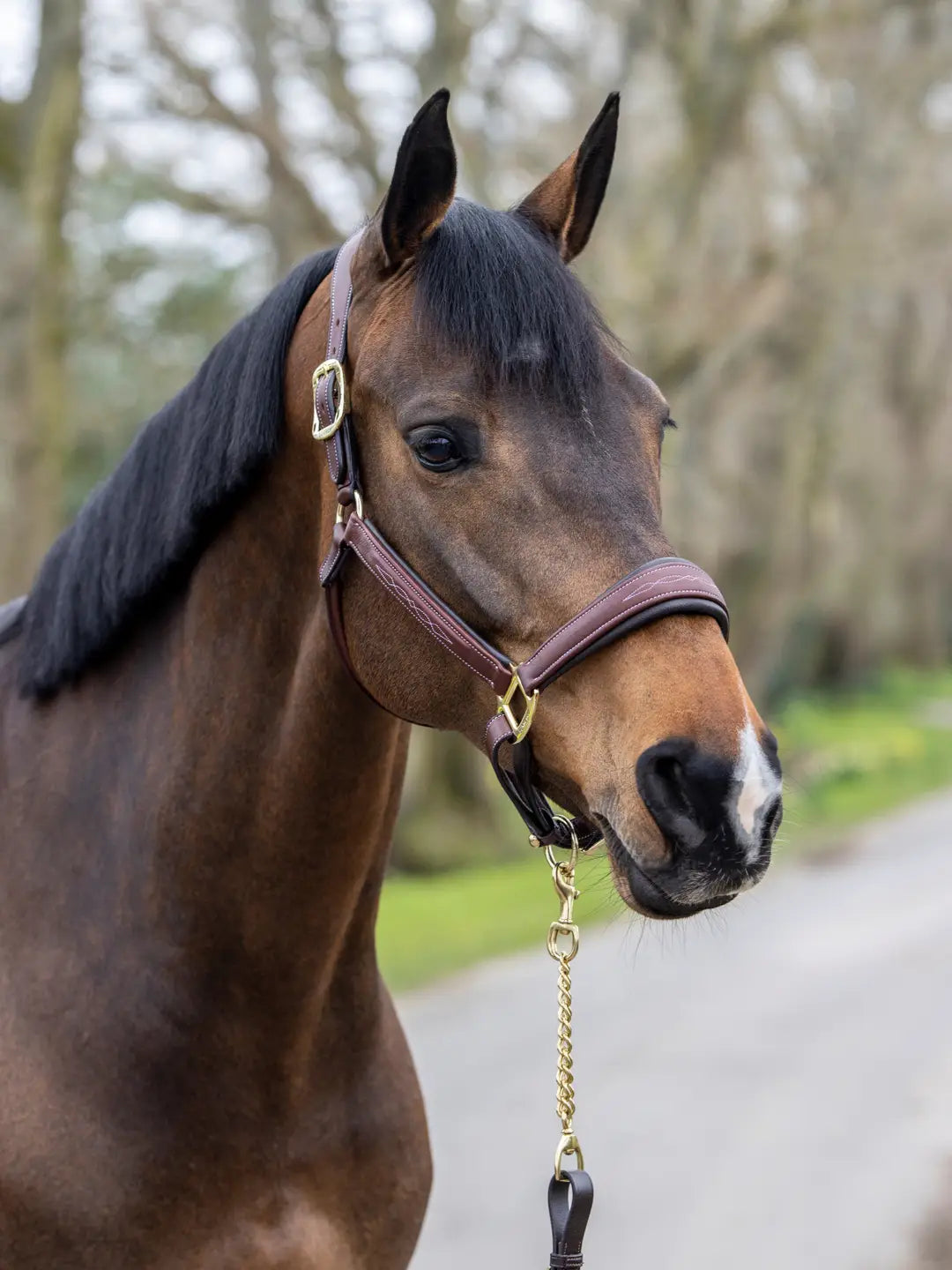 LeMieux Stitched Leather Headcollar