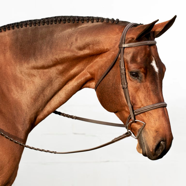 Equinavia Saga Fancy Stitched Hunter Bridle & Reins Cob