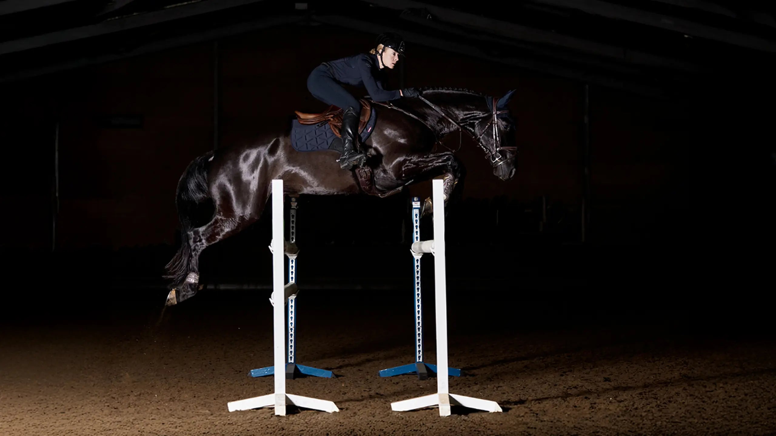 Saddle Pads | LeMieux Moulded Close Contact Pad