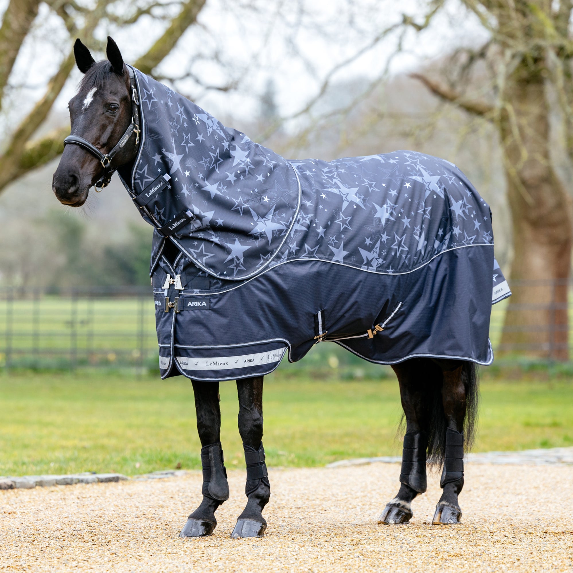 LeMieux Arika Ripstop 0g Turnout Blanket